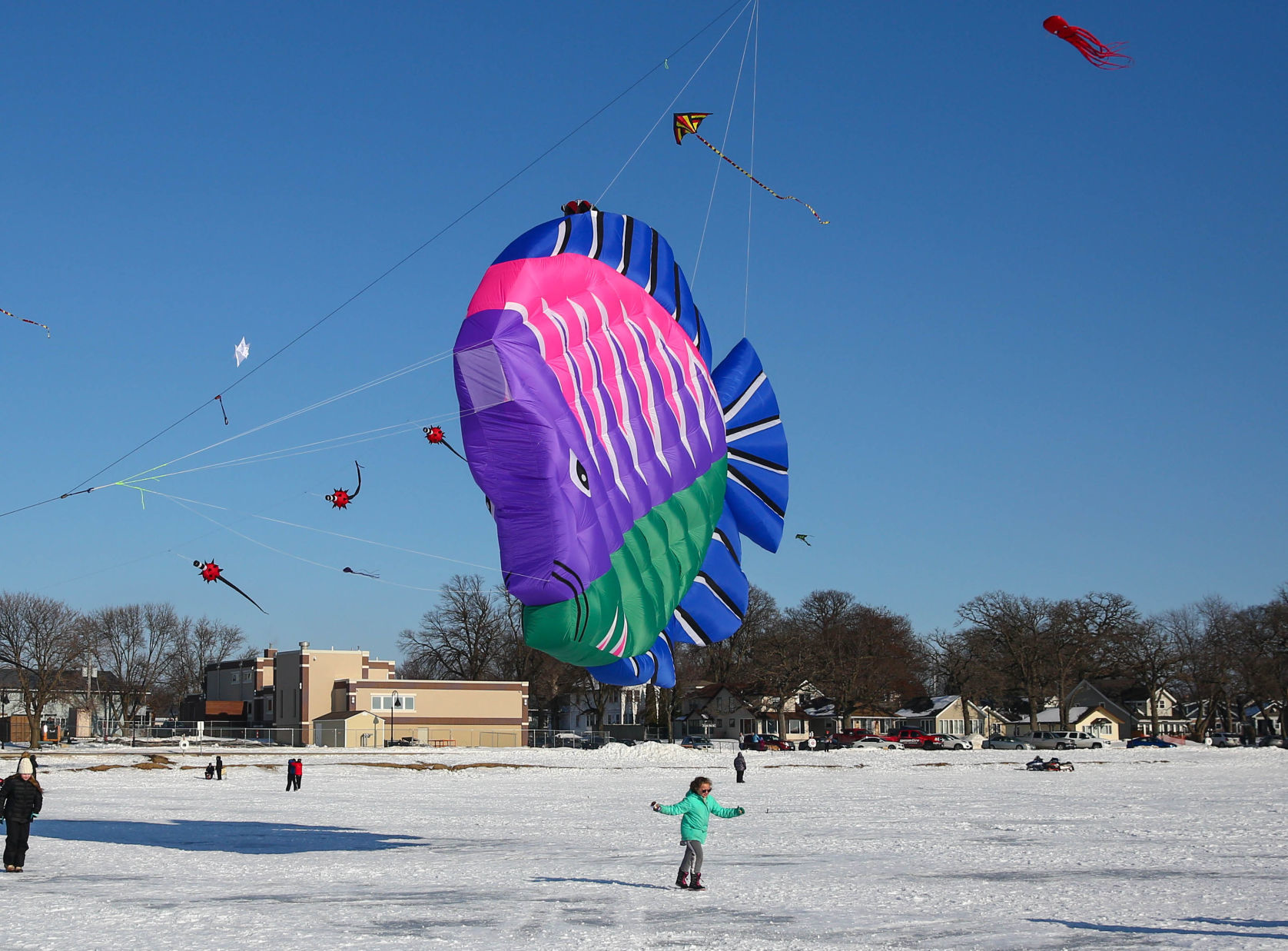 Color the Wind kite festival 02-15-2020 (23).jpg